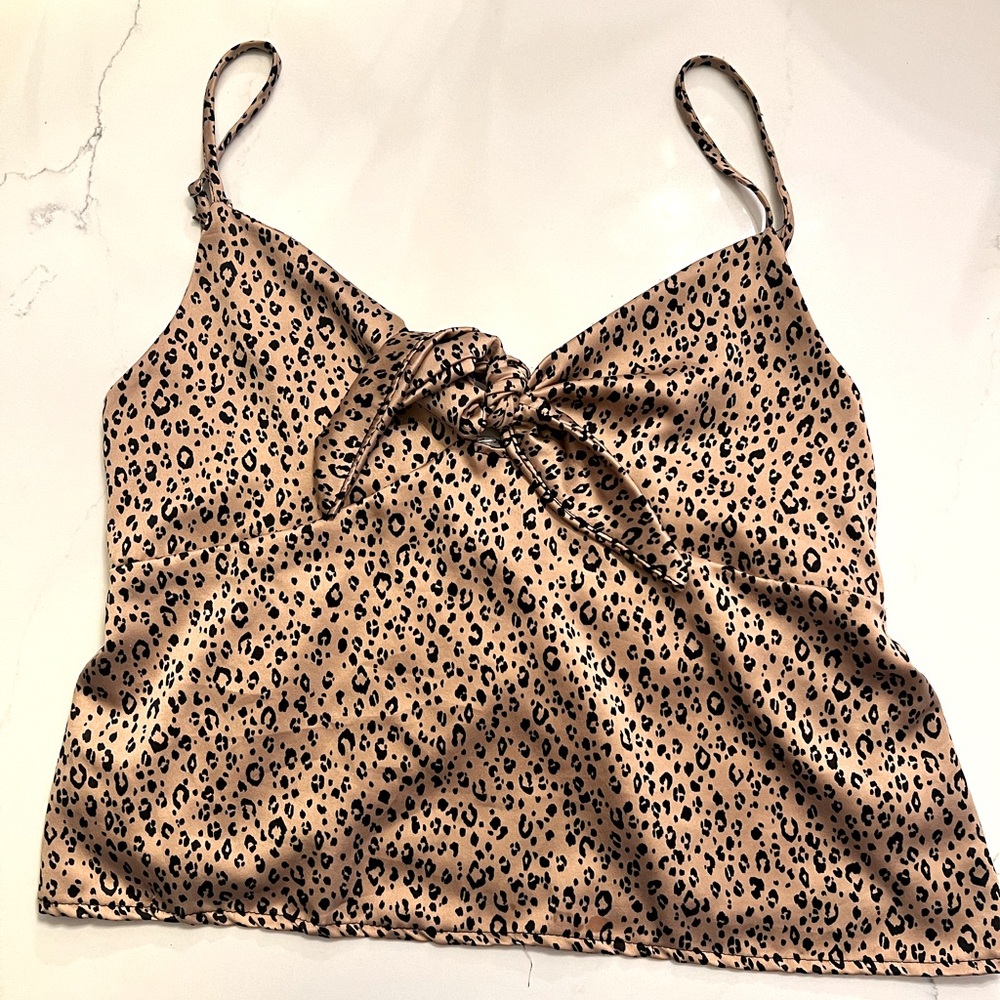 Cheetah tank